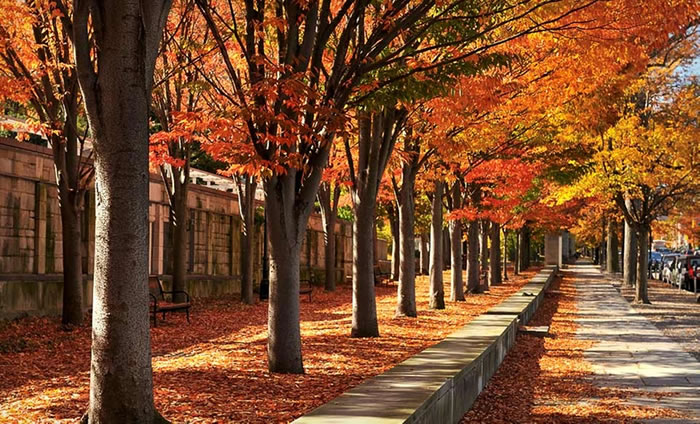 ����������ؿ���Ӱ���＾ֲ�����ߵ�ʱ��