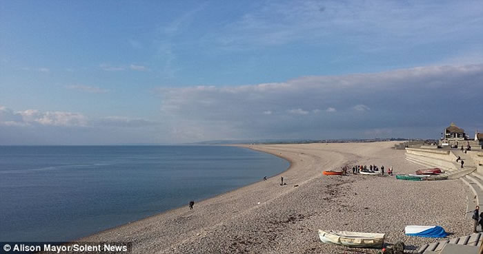 英国渔民在切瑟尔捕获2米长大鲨鱼