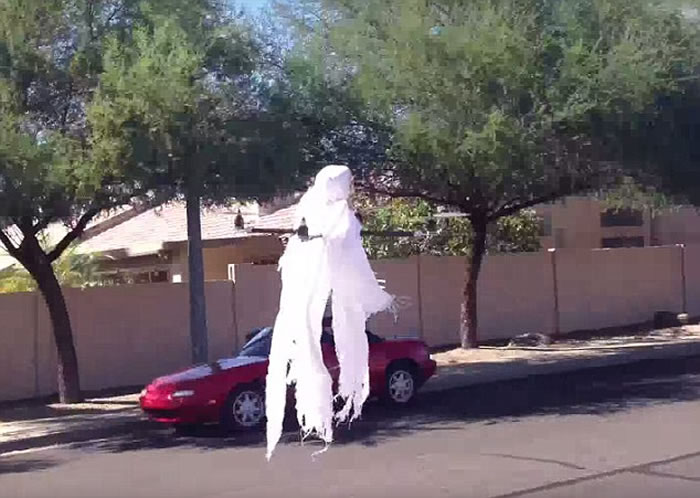 �������˻����������조�������顱�Ż��ܺ���