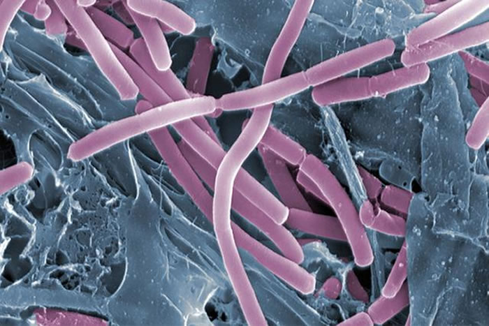 ľ���������д��ڸ�������þ�����ʣ�������ЩԪ�صĴ��ڣ�ϸ���ܹ��������ǽ��������