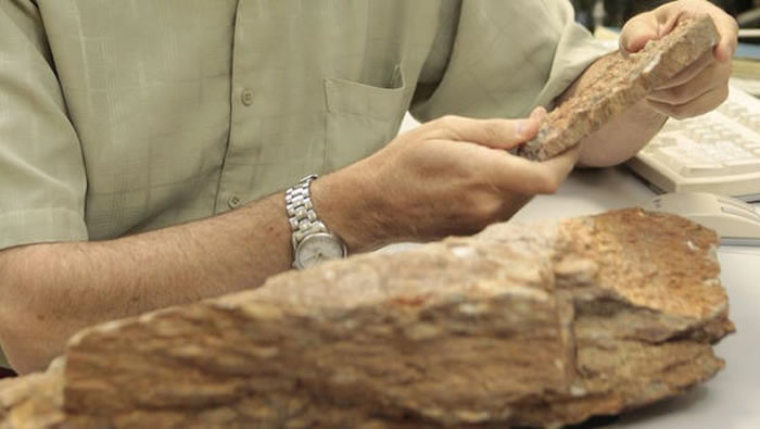 研究人员发现澳大利亚西部杰克丘陵一些石墨杂质保存在大量古老锆石晶体中