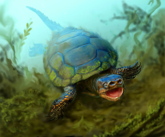 美国犹他州发现7600万年前化石新物种——猪鼻龟Arvinachelys goldeni