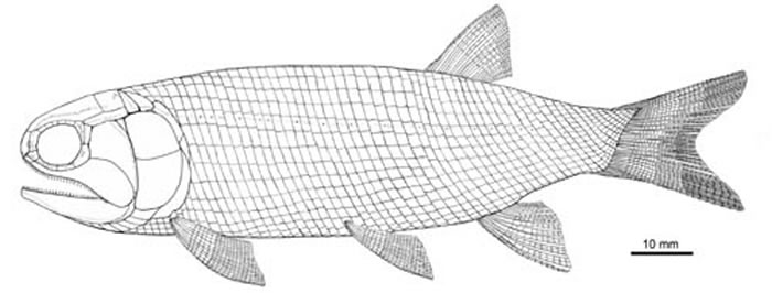 ��ˮ���ױ��㸴ԭͼ�� (���Թ�ͼ��