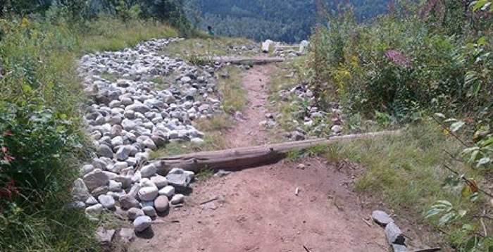 ��һ���ŵ��ϵ�ʯ���з������ȫ�ڡ�û�б���ά��ǧ��Ž�