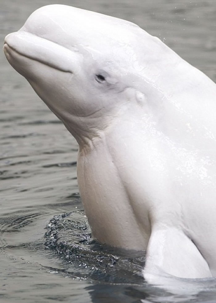 ����˹�����������ദ����