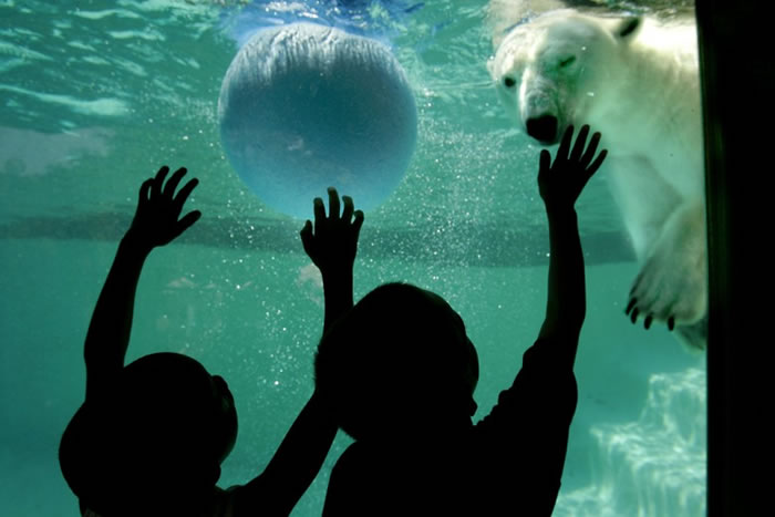 ��������ˮ������