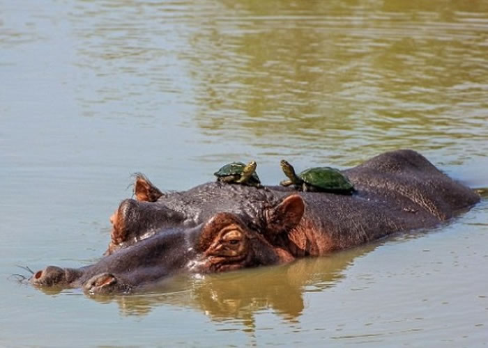 �����˹��������������������Ȥ����