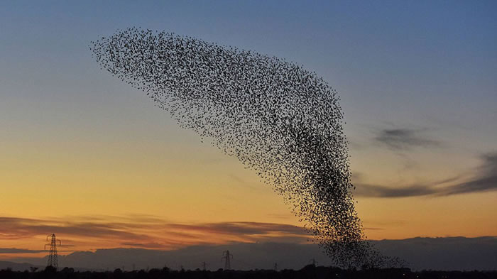 这种景象一般出现秋冬交接之时