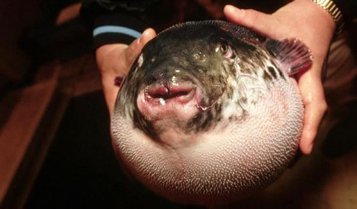 ̩Ϸˮοˮбҧ ԭǺ໤