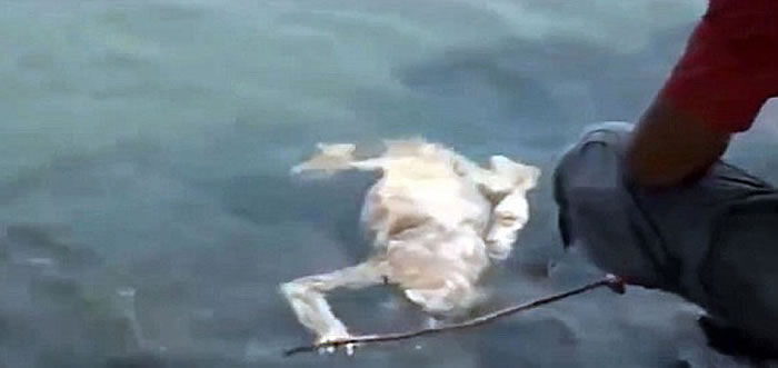 ׿�ؿ�������һ�����������˵���������޵���ɱ��ɽ����Ѫ��