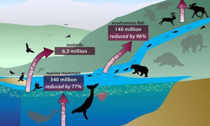 ����Ȳ��Ժͻ�����Ⱦ�������Ͷ���������� ���������������½�������������