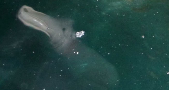 Ӣ���ο���ϣ�����ڵ���Ѩ���ĵ����غ������