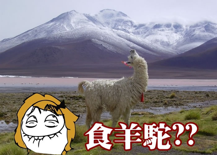 ��ʵ����ά��ԭס�����ڸ��ײ�ʱ�����г��������յ�ϰ�ߡ�