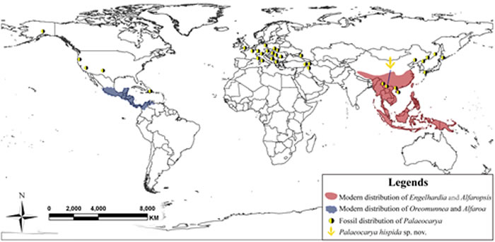 ͼ3�����轻�ʯ��¼�������ֵĵ����ֲ����