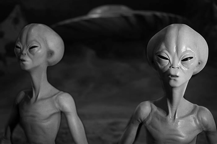 ����Ů��Niara Terela Isley���Ʊ��������������������ץ�������ڰ��������ǿ��