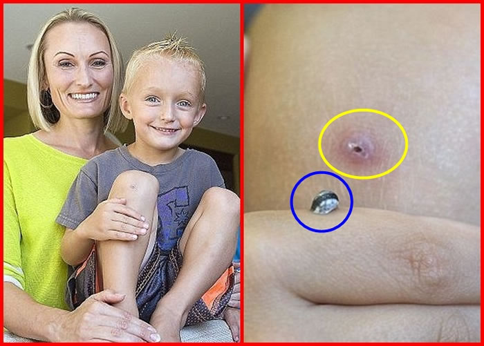 ������ͯϥ���˿����ͺ�ŧĸ������С����