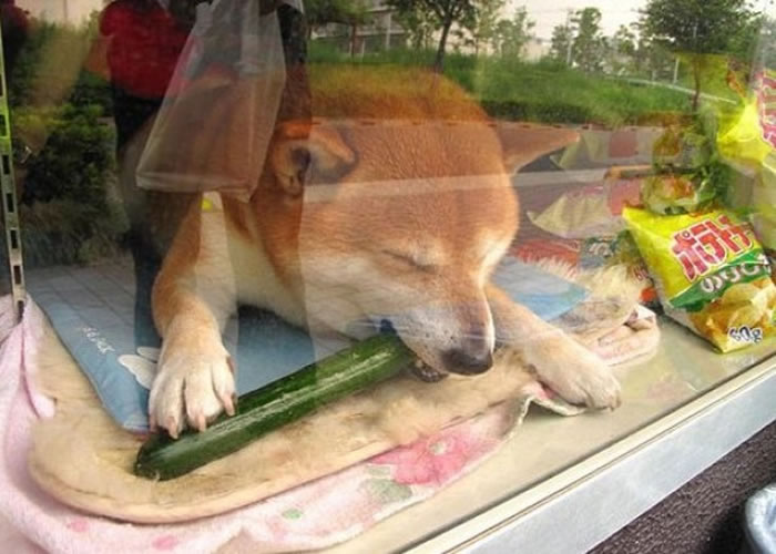 ûпʱСڲ£ҧʳСƹ˯