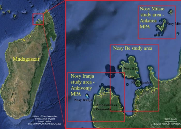 美国海洋研究组织搜寻10年在马达加斯加发现新品种鲸鱼“角岛鲸”