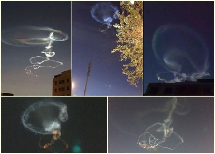 �ж�����񷢲����������󡹵���Ƭ