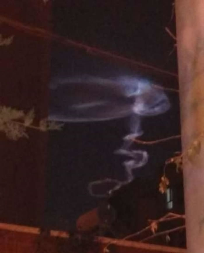 �Ʋ���Բ���켣��Ω��С��һ���ʲ�����·�ߣ�״��ˮĸ��