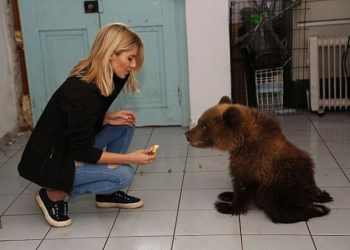 Ī�򣮽���һֻ��͵���ߴ��˫�ȵ����ܻ�����