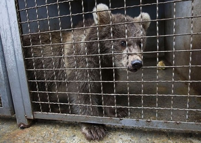 һЩ���ܱ��Ⱥ��������ֻ������