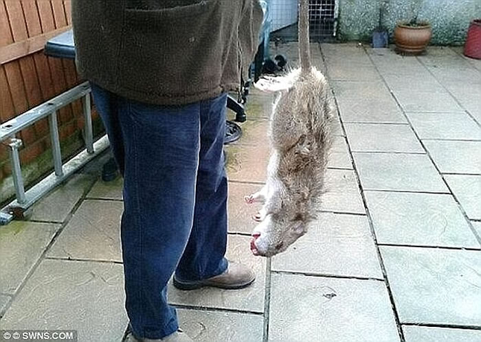 ��������������Ӣ�������ֻţ�����������ҩ�����޷���������