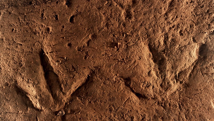 �����뽭���ҵ��ʹ�԰������կ�����㼣ȺΪ�й��������㼣��ʯ��