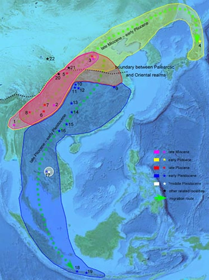 中华乳齿象起源和迁移假说-王世骐供图