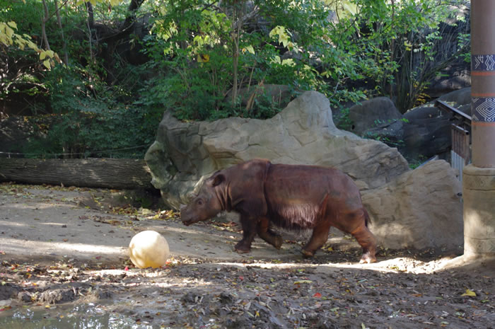 ������ϡ���Ŵ���ϬţΪ�ҡ����š����ɻ���16000����ص��ϼ�ӡ��