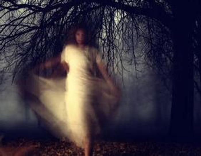 ��ѧ���������¼����ֹ����������ԭ������������ǵĴ�����