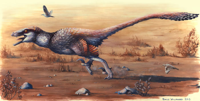 �����о�������ʳ�Կ������ݾ��С���������