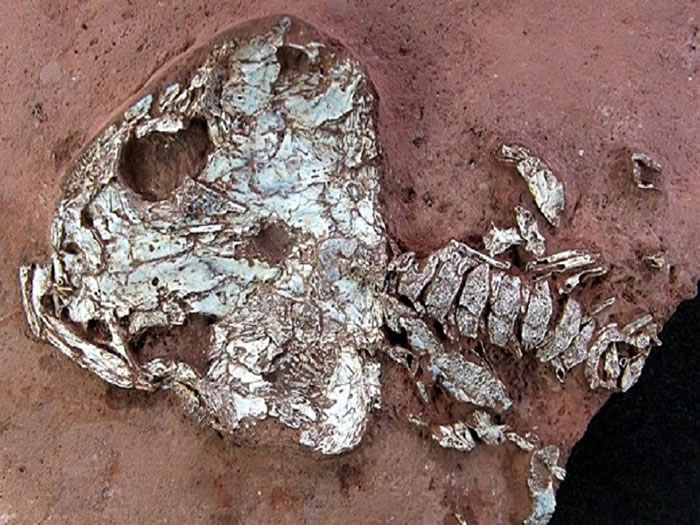 ��������2�������ද�ﻯʯ ������֮ǰδ���ֹ�����໯ʯ