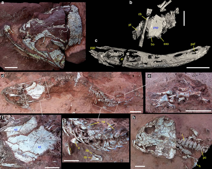 ��������2�������ද�ﻯʯ ������֮ǰδ���ֹ�����໯ʯ