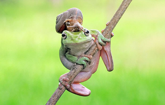 ӡԼҺ԰ĵĴܺţгĻ