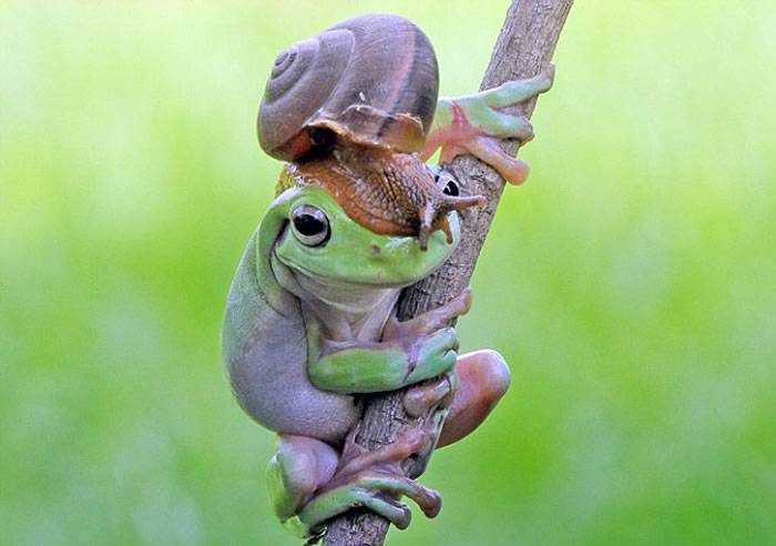 ӡԼҺ԰ĵĴܺţгĻ