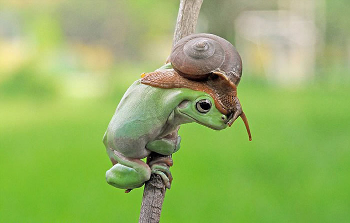 ӡԼҺ԰ĵĴܺţгĻ