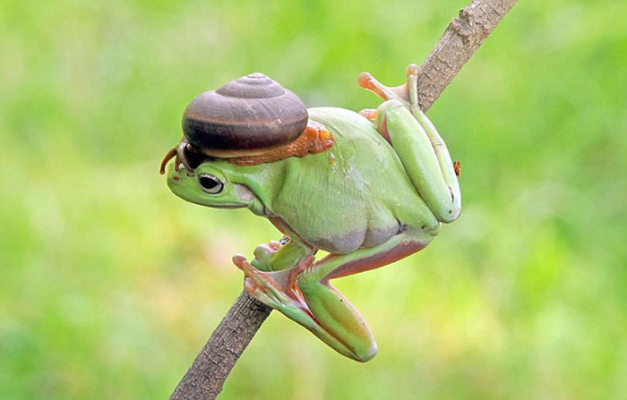 ӡԼҺ԰ĵĴܺţгĻ