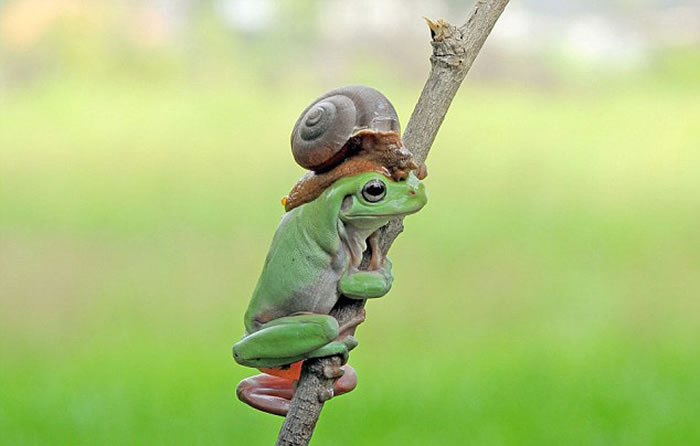 ӡԼҺ԰ĵĴܺţгĻ