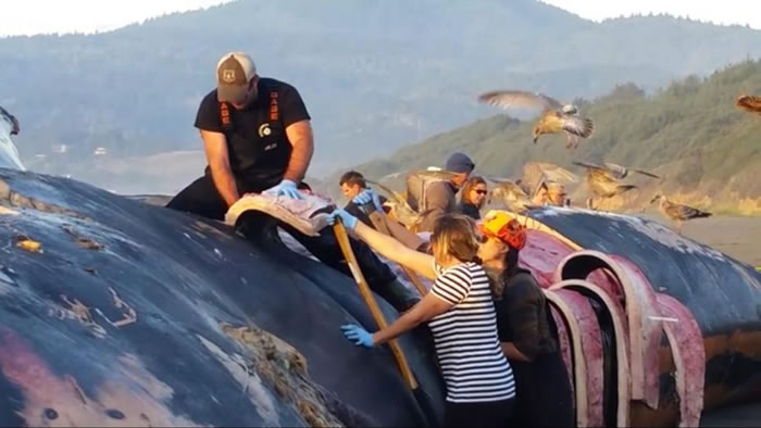 �о���Ա��ȥ��ʬ���Ƥ�⣬������������������ڽ�ѧ�Ϳ��С�