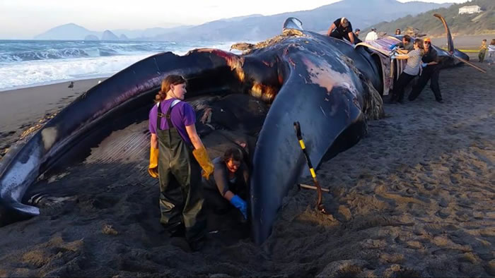 ��ͷ���������Ϻ�̲ǰ�Ѿ�����2��