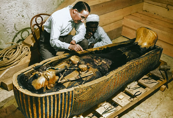 һײڲʾƽľ׵Ĳͬɫ