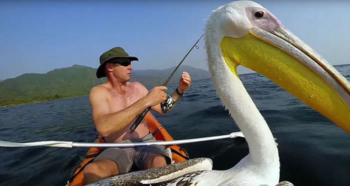 ̹ɣ���ǹ��ҹ�԰һֻ�ܾ����������״β�ʳ�Ŀɰ�����