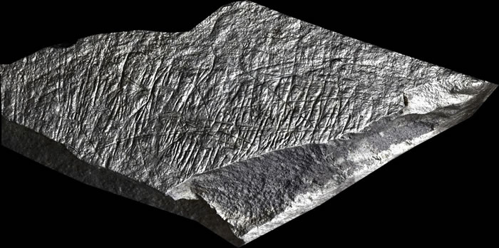 英国考古团队在泽西岛发现冰河时代末期人类定居点,或为北欧最早现代人定居点