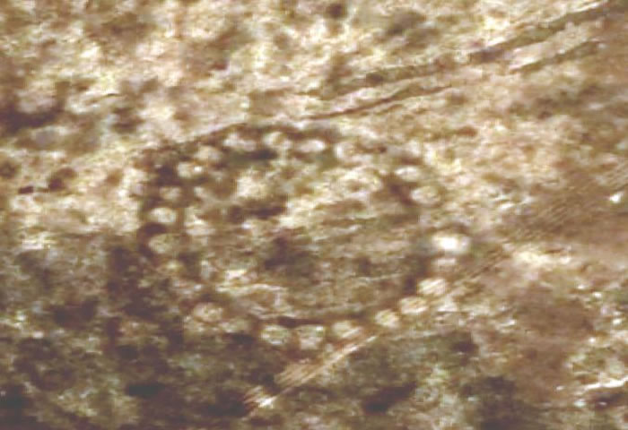 �����������������������ʱ�����ڣ�Լ��Ԫǰ800�꣩��ʱֵ�������˽���һ������ Photograph by Digital Globe via NASA