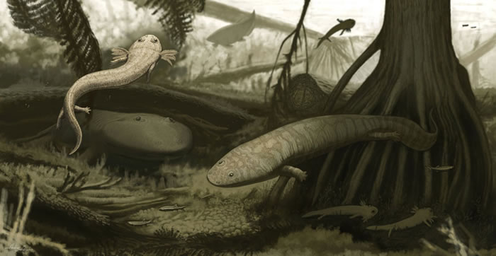 ͼ�����ֹŴ�������̬ϵͳ����������ܶ���������Timonya anneae���󣩺�Procuhy nazariensis���ң���