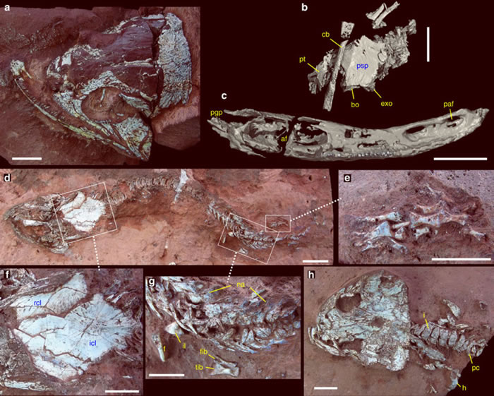 ������������ж����Ź��Է�������2.78����ǰ���ܶ��ﻯʯ