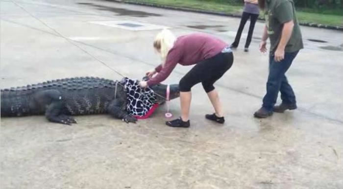 �����ÿ���˹��Ů��ֻ�����þ޴������