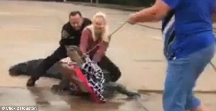 �����ÿ���˹��Ů��ֻ�����þ޴������