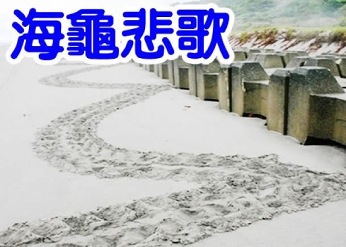 ɳ̲�ϳ��ֶ��������Բ�㼣�����Ǻ����Ҳ����ʺϲ��ѵص�֤��